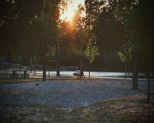 A family taking a relaxed evening stroll in a park